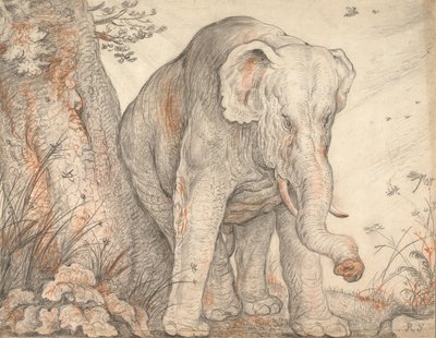 Un elefante che si strofina contro un albero, c. 1608-1612 da Roelant Saverij